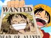 luffy's Avatar